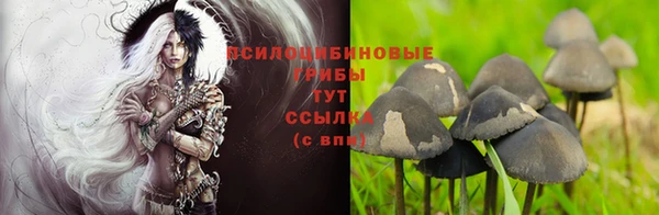 кокаин Алексин