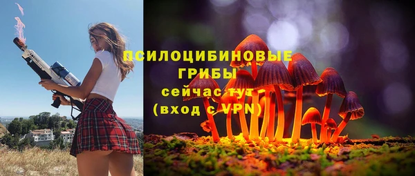 не бодяженный Алзамай