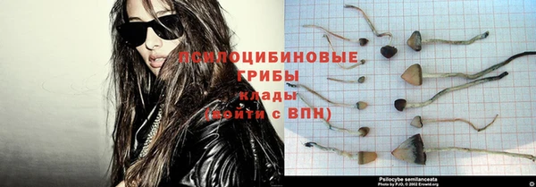 не бодяженный Алзамай