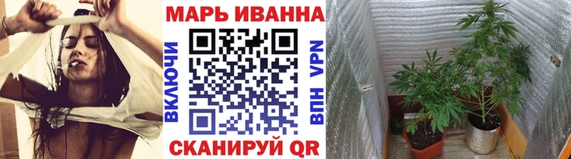 Купить где  Белоозёрский  Конопля White Widow 